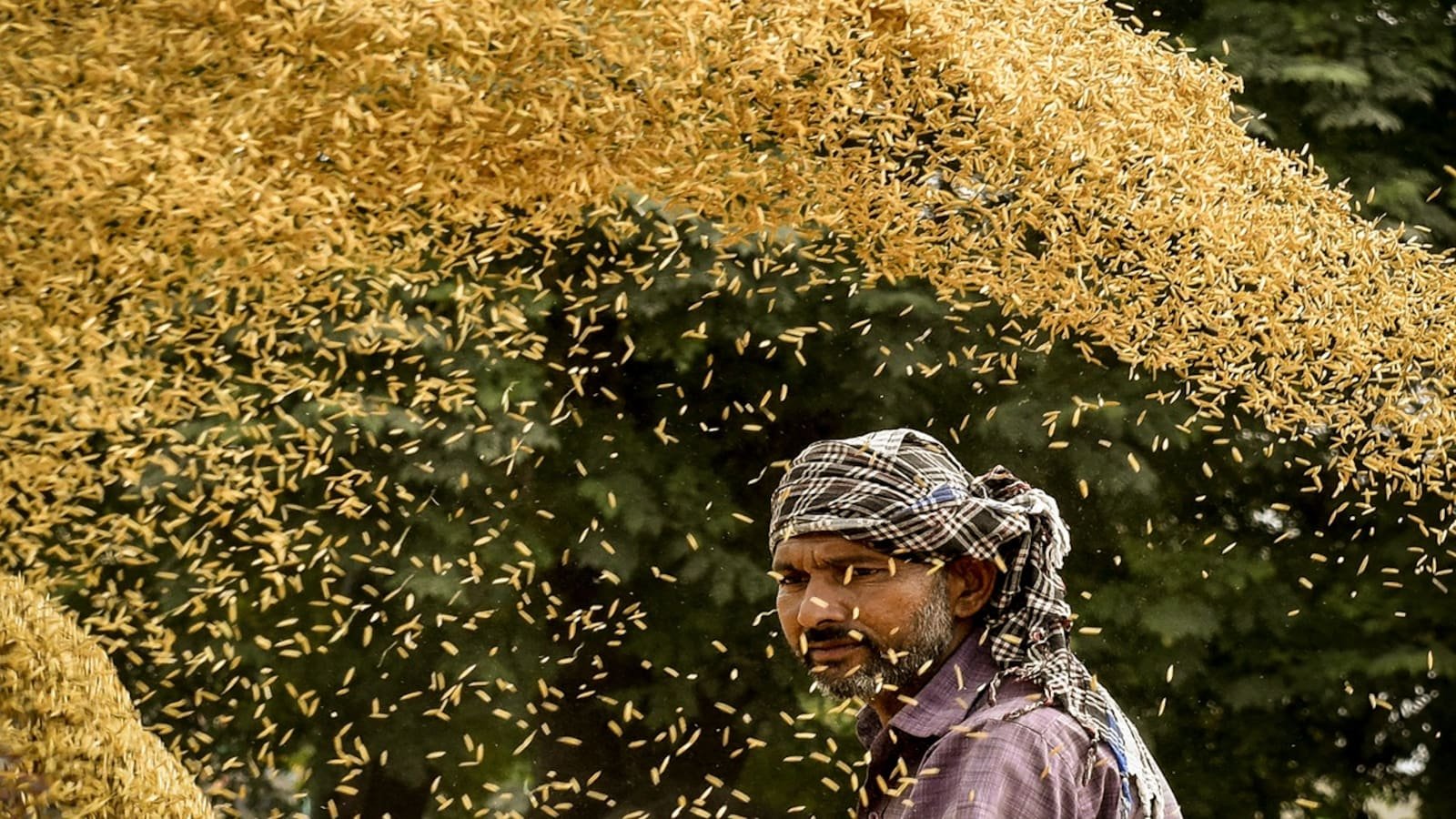 Dry spell from mid-September, strong El Nino raise risks for Rabi crop