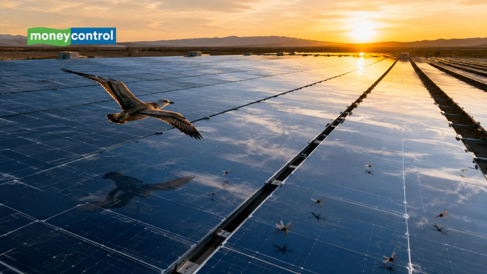 Solar panel maker Rayzon Solar cuts IPO size by 50% following SEBI approval