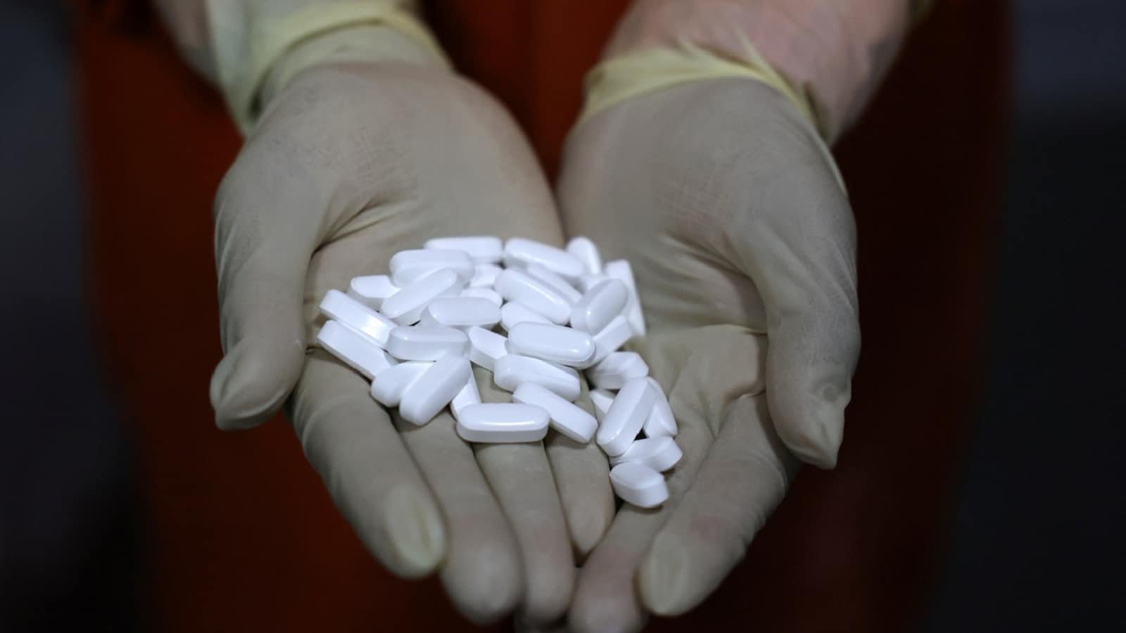 Pharma stocks rise up to 6% amid defensive buying, strong product pipeline; Mankind Pharma, Wockhardt lead...