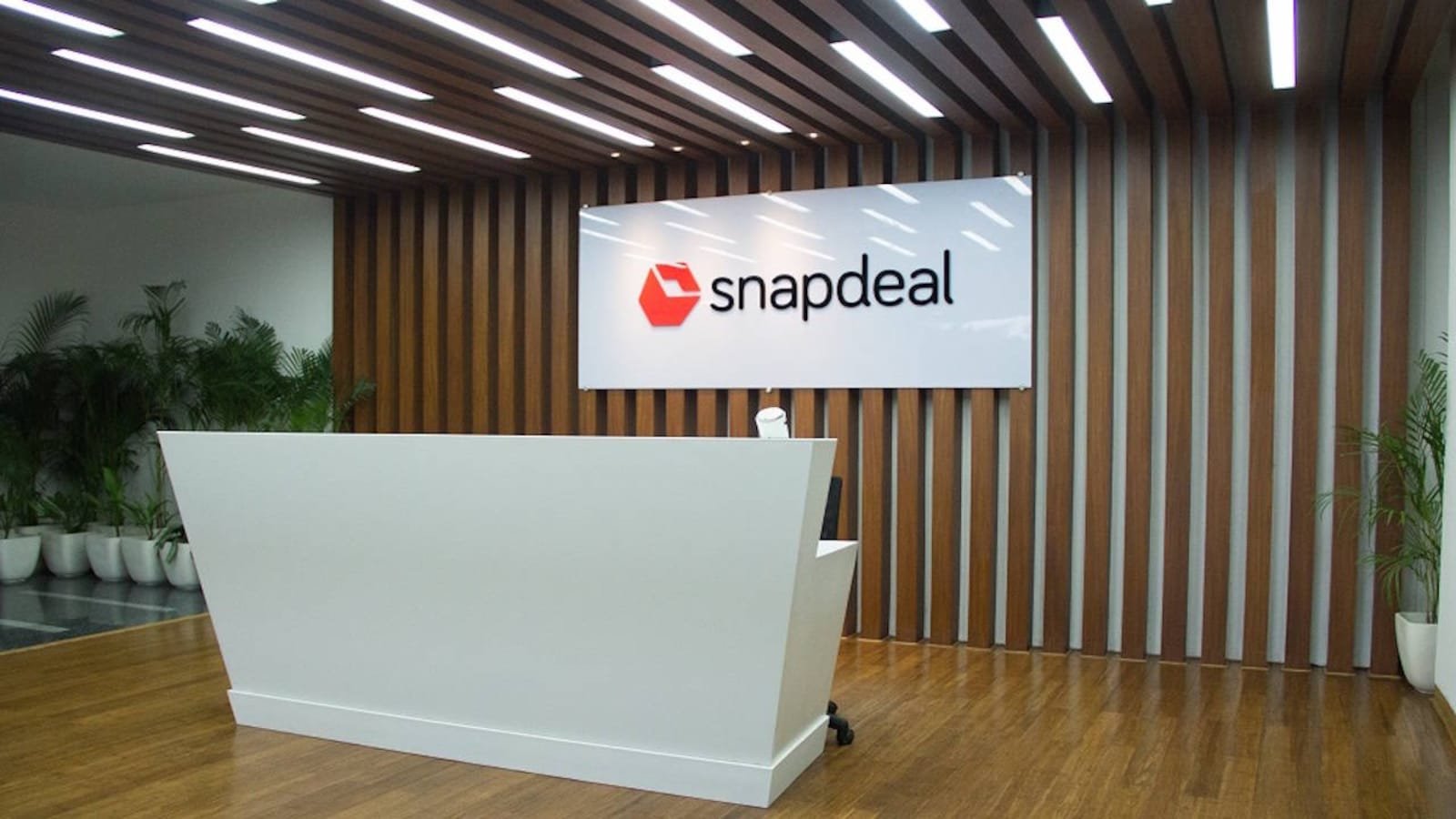 Snapdeal parent AceVector raises Rs 189 crore via anchor book ahead of Rs 420-crore IPO opening