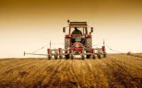 Cabinet hikes MSP for rabi crops, sets aside Rs 91,000 crore; safflower sees biggest rise
