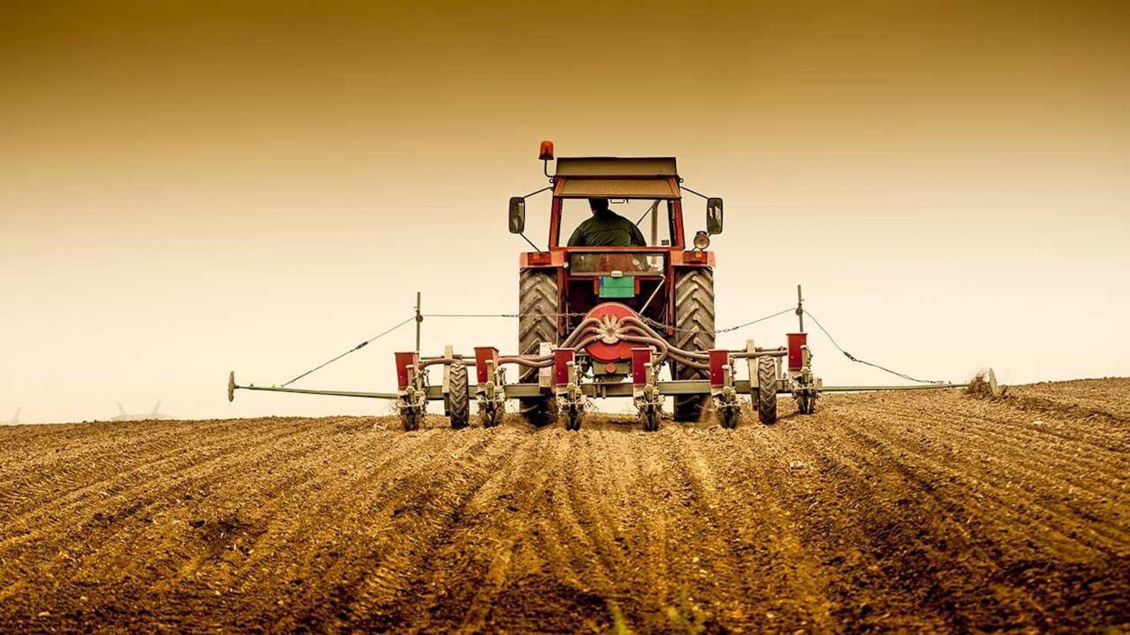 Cabinet hikes MSP for rabi crops, sets aside Rs 91,000 crore; safflower sees biggest rise
